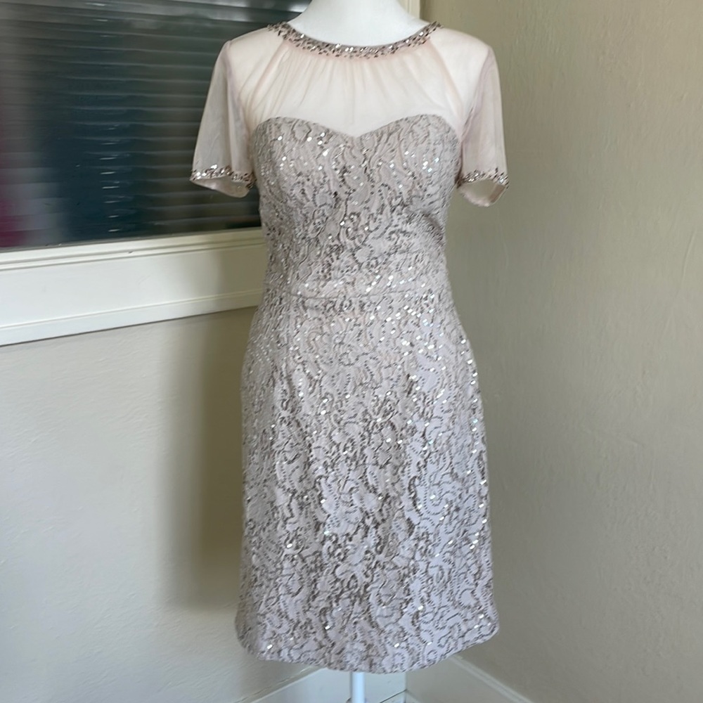 Size 8 nude to light pink with silver sequin short sleeve  dress by Decode 1.8